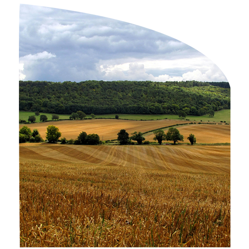 Droit Rural Agriculteur Viticulteur Notaires Office