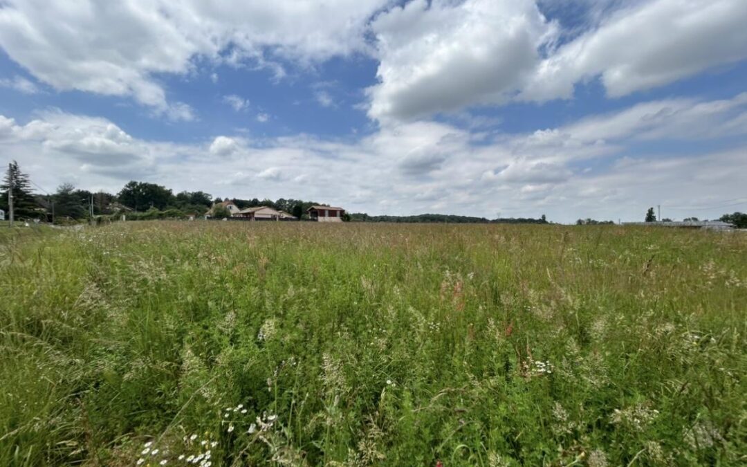 Vente Terrain – à Pouyastruc – Hautes-pyrénées (65350)
